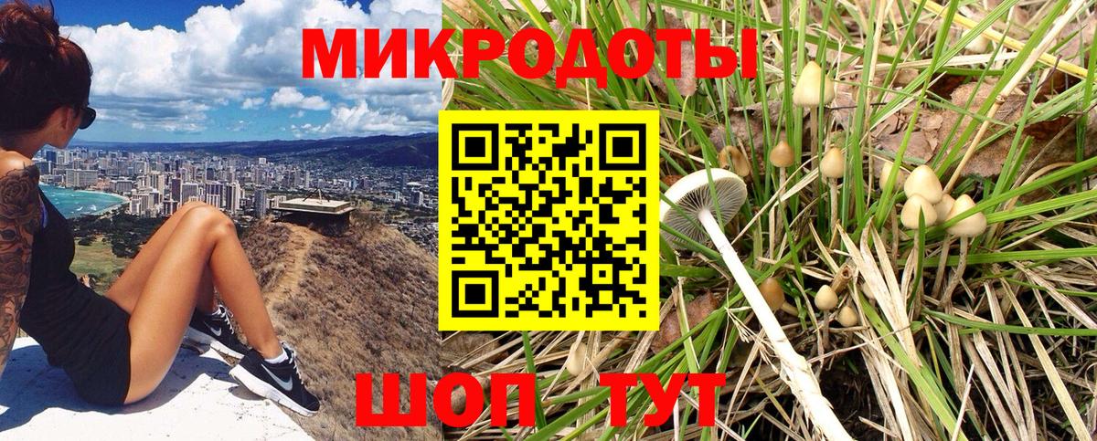 Самара  Псилоцибиновые грибы Psilocybine cubensis  Вход с VPN 