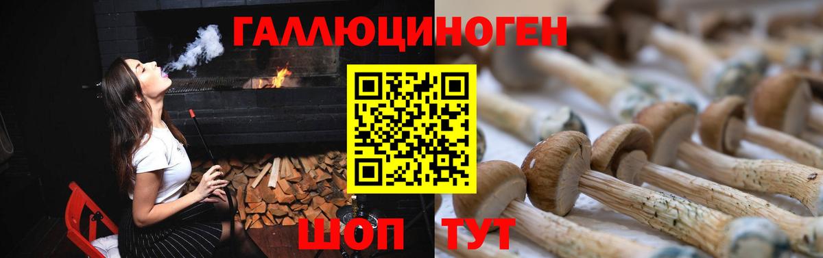 Псилоцибиновые грибы мицелий Самара